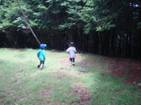 画像29