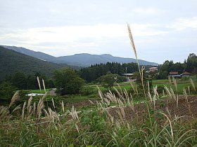 画像19