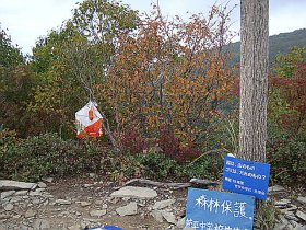ここまでで登頂断念