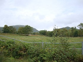 画像33