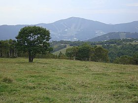 菅平牧場です。